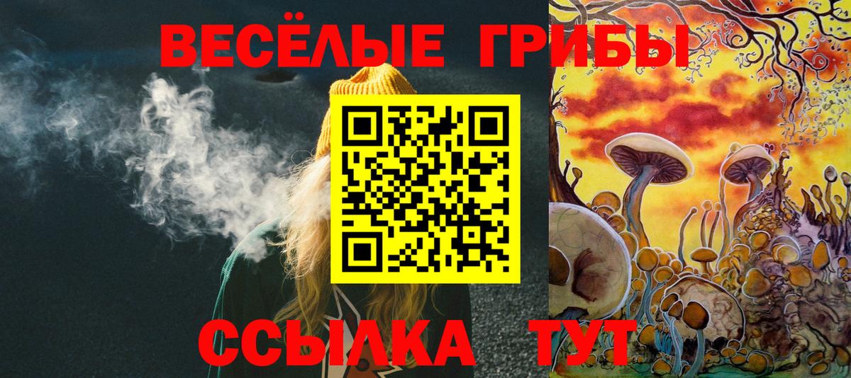 Галлюциногенные грибы GOLDEN TEACHER  Галлюциногенные грибы прущие грибы  Вход с VPN  Щёлково 